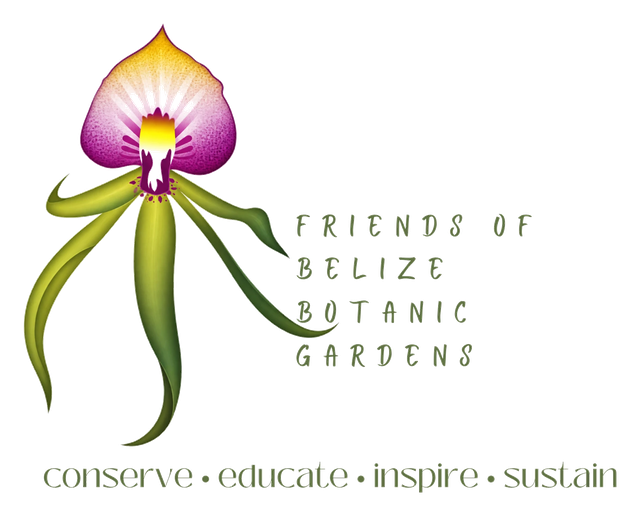 Friends of Belize Botanic Gardens logo: an orchid with the tagline conserve, educate, inspire, sustain